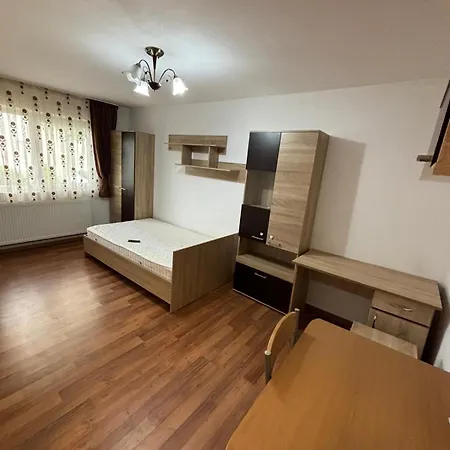 Garsoniera Garii Apartment