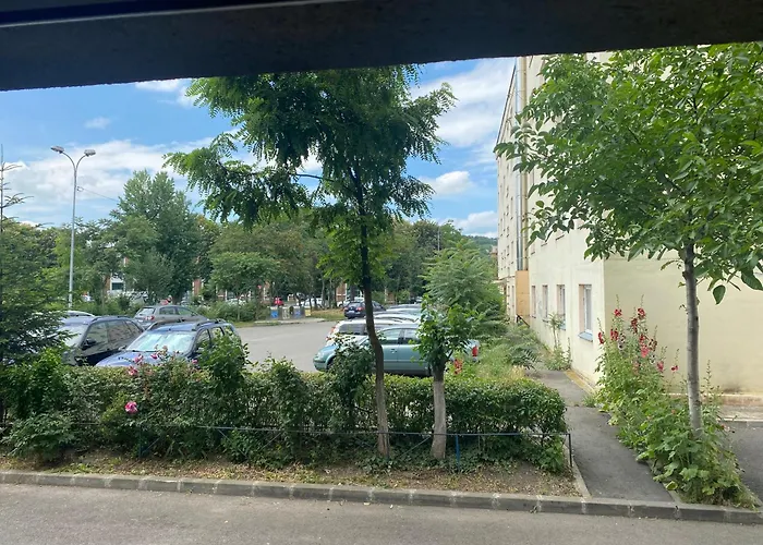 Διαμέρισμα Garsoniera Garii